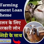 Goat Farming Government Loan Scheme: बकरी पालन के लिए ले ये सरकारी लोन मिलेगी 50% सब्सिडी